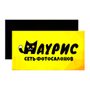 Магнит виниловый 6Х9